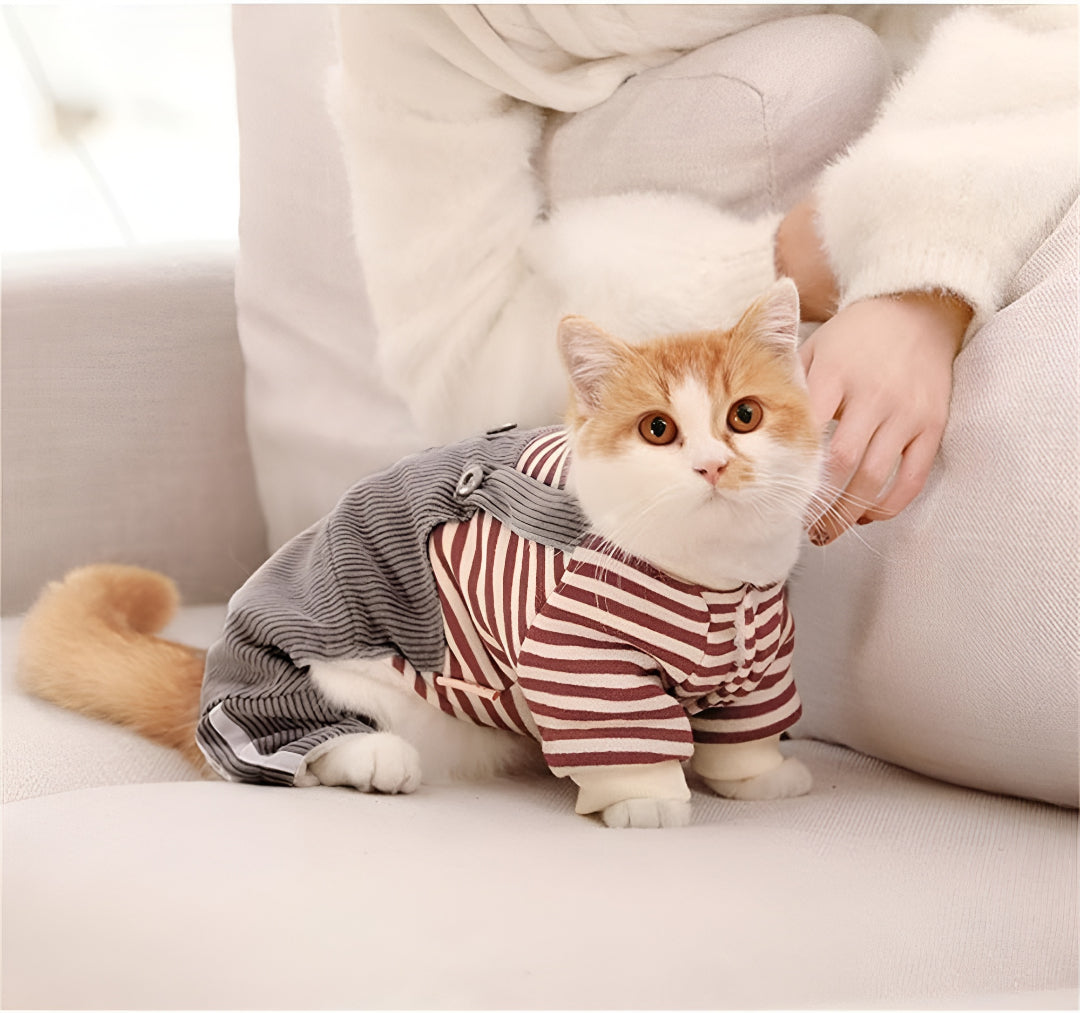 TOP PET CLOTHING FOR EVERY SEASON